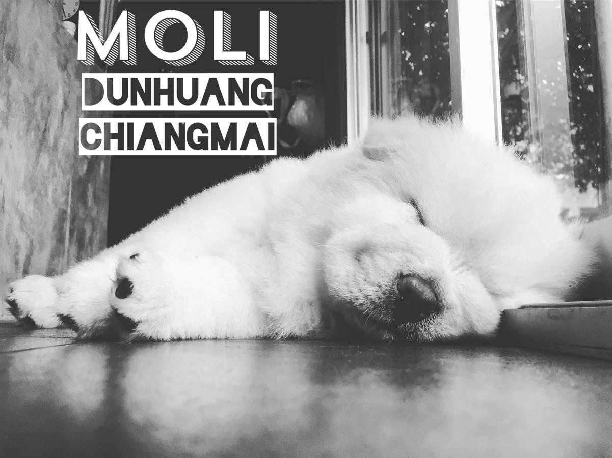 Chiangmai Moli Inn (Adults Only) เชียงใหม่ ภายนอก รูปภาพ