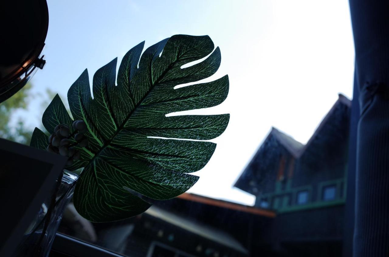 Chiangmai Moli Inn (Adults Only) เชียงใหม่ ภายนอก รูปภาพ